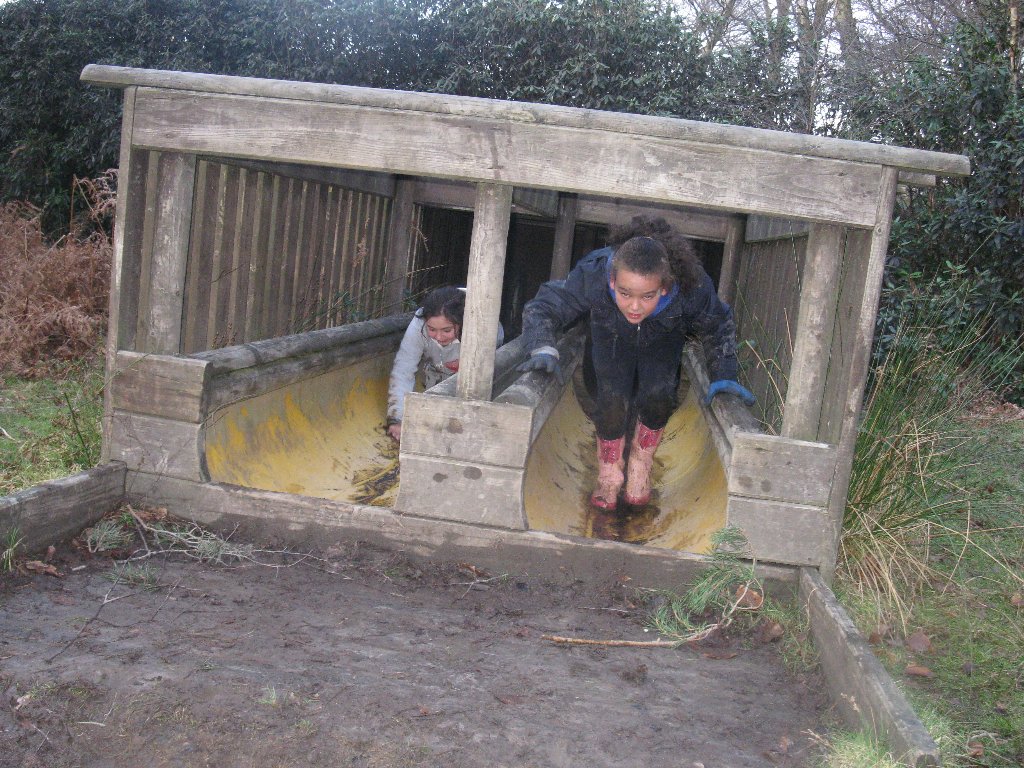 Down in the mud   16